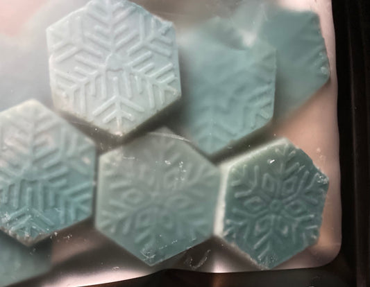Winter Woods Wax Melts